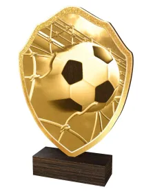 Dřevěná plaketa TFRW309 | Fotbal Výška cm: 18