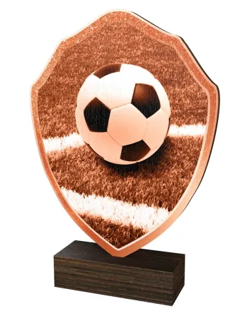 Dřevěná plaketa TFRW315 | Fotbal Výška cm: 22