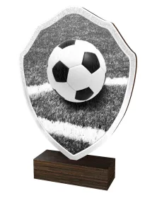 Dřevěná plaketa TFRW314 | Fotbal Výška cm: 14,5