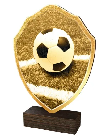 Dřevěná plaketa TFRW313 | Fotbal Výška cm: 13,5
