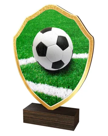 Dřevěná plaketa TFRW312 | Fotbal Výška cm: 11,5