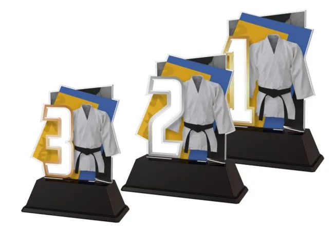 Akrylátová trofej NCUF001M12 | Bojová umění Výška cm: 12, Barva: stříbro