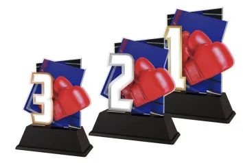 Akrylátová trofej NCUF001M7 | Bojová umění Výška cm: 14, Barva: bronz