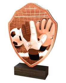 Dřevěná plaketa TFRW319 | Fotbal Výška cm: 22