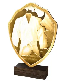 Dřevěná plaketa TFRW373 | Bojová umění Výška cm: 16