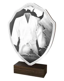 Dřevěná plaketa TFRW374 | Bojová uměnÍ Výška cm: 18