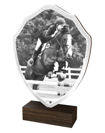 Dřevěná plaketa TFRW398 | Jezdectví Výška cm: 22