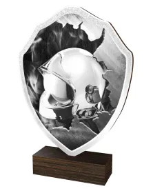 Dřevěná plaketa TFRW414 | Hasiči Výška cm: 16