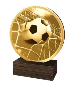 Dřevěná plaketa TFRW809 | Fotbal Výška cm: 10,5
