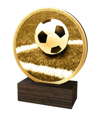 Dřevěná plaketa TFRW813 | Fotbal Výška cm: 13,5
