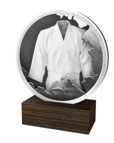 Dřevěná plaketa TFRW874 | Bojová umění Výška cm: 13,5