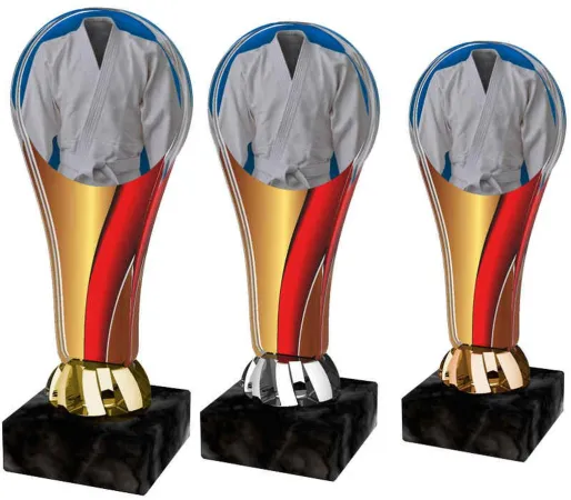 Akrylátová trofej ACL2100M31 | Bojová umění Výška cm: 16,5, Barva: stříbro