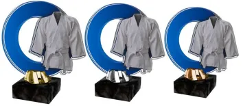 Akrylátová trofej ACL2101M23 | Bojová umění Výška cm: 14,5, Barva: bronz