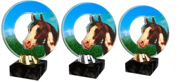 Akrylátová trofej ACL2101M24 | Jezdectví Výška cm: 14,5, Barva: bronz