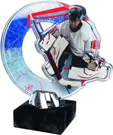 Akrylátová trofej ACL2101M46 | Hokej Výška cm: 13, Barva: bronz