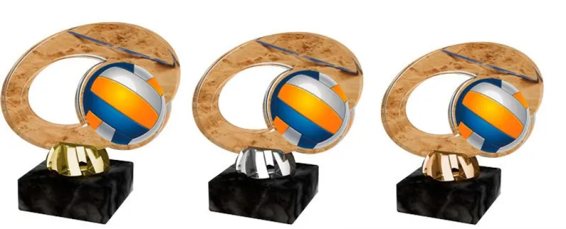 Akrylátová trofej ACL2102M19 | Volejbal Výška cm: 13, Barva: zlato