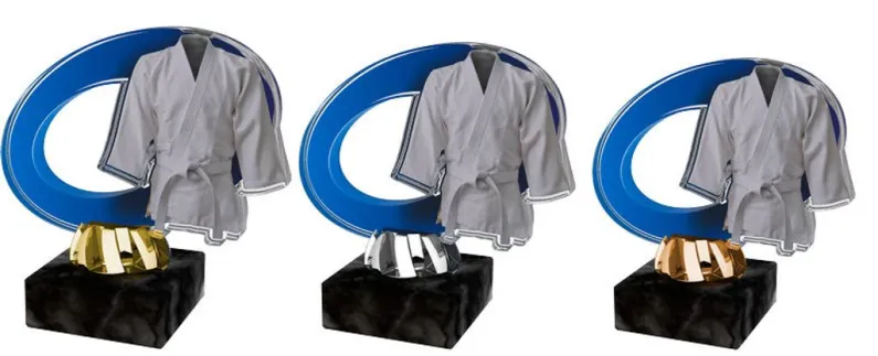 Akrylátová trofej ACL2102M25 | Bojová umění Výška cm: 12, Barva: bronz