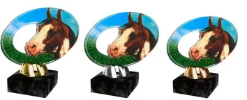 Akrylátová trofej ACL2102M26 | Jezdectví Výška cm: 12, Barva: zlato