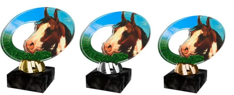 Akrylátová trofej ACL2102M26 | Jezdectví Výška cm: 12, Barva: bronz
