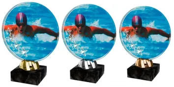 Akrylátová trofej ACL2103M31 | Plavání Výška cm: 15, Barva: stříbro