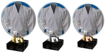 Akrylátová trofej ACL2103M37 | Bojová umění Výška cm: 14, Barva: zlato