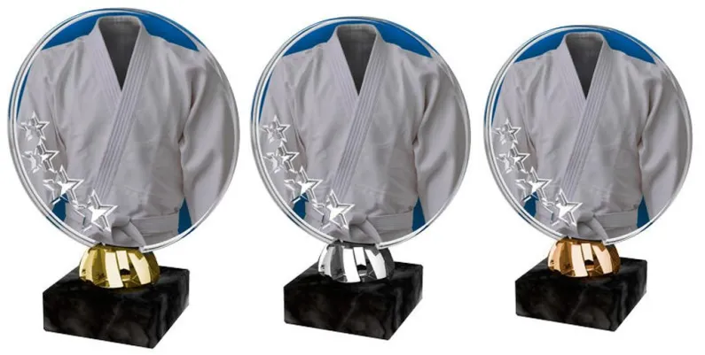 Akrylátová trofej ACL2103M37 | Bojová umění Výška cm: 15, Barva: stříbro
