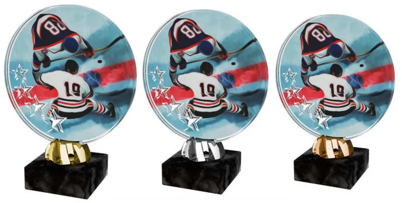 Akrylátová trofej ACL2103M9 | Hokej Výška cm: 14, Barva: bronz