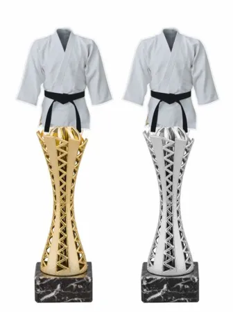 Trofej HLAC03M19 | Bojová umění Výška cm: 27,5, Barva: stříbro