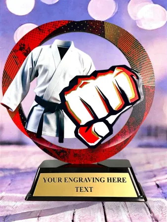 Kovová trofej SAM02M14 | Bojová umění Výška cm: 13, Barva: stříbro