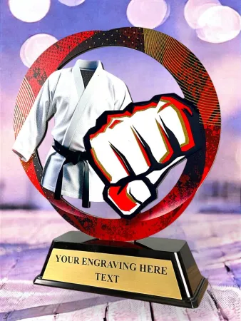 Kovová trofej SAM02M14 | Bojová umění Výška cm: 13, Barva: stříbro