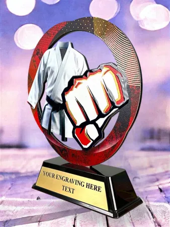 Kovová trofej SAM02M14 | Bojová umění Výška cm: 13, Barva: stříbro