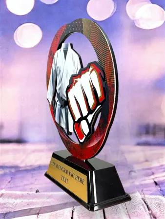 Kovová trofej SAM02M14 | Bojová umění Výška cm: 13, Barva: stříbro