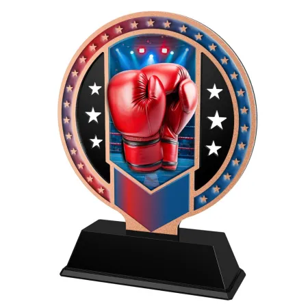 Kovová trofej SAM03M14 | Bojová umění Výška cm: 13, Barva: bronz