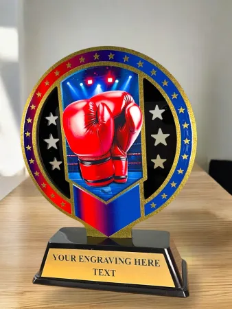 Kovová trofej SAM03M14 | Bojová umění Výška cm: 13, Barva: bronz