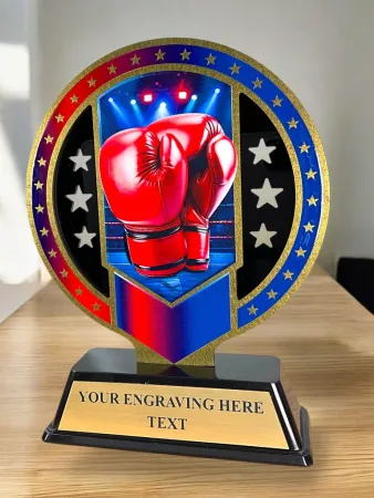 Kovová trofej SAM03M14 | Bojová umění Výška cm: 13, Barva: bronz