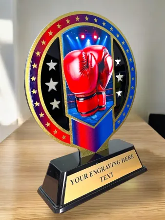 Kovová trofej SAM03M14 | Bojová umění Výška cm: 13, Barva: bronz