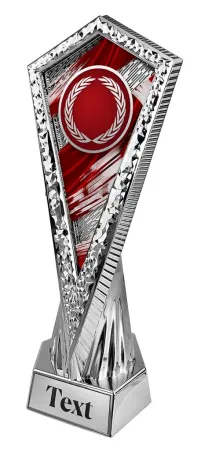 Sportovní trofej AY1M24 | Univerzální Výška 27cm, barva: bronz