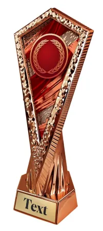 Sportovní trofej AY1M24 | Univerzální Výška 27cm, barva: bronz