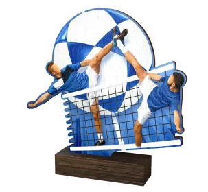 Dřevěná plaketa WF375 | Nohejbal Výška cm: 13,5