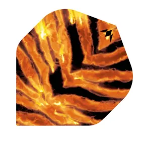 Mission Letky Solo - Javan - No2 - F4523