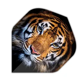 Designa Letky Motley Collection - Tiger F4369