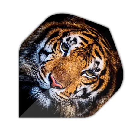 Designa Letky Motley Collection - Tiger F4369