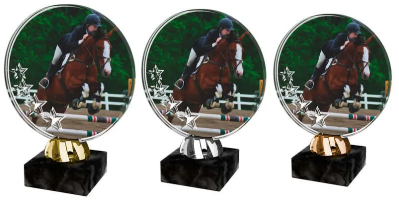 Akrylátová trofej ACL2103M38 Výška cm: 13