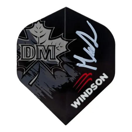 Windson Šipky Steel Dominik Moravčík - 21g