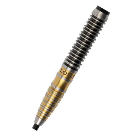 Loxley Šipky Steel Notorious - 22g