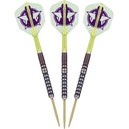 Target - darts Šipky Steel Luke Littler - World Champion - Swiss Point - 23g