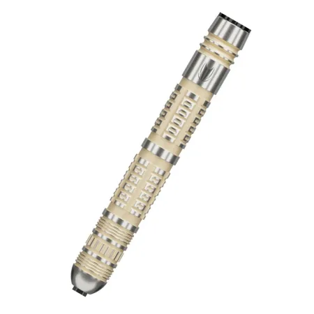 Target - darts Šipky Steel Dimitri van den Bergh - 95K - Swiss Point - 22g