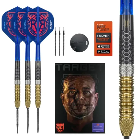 Target - darts Šipky Steel Raymond van Barneveld - G6 - Swiss Point - 21g