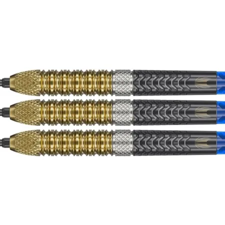 Target - darts Šipky Steel Raymond van Barneveld - G6 - Swiss Point - 21g