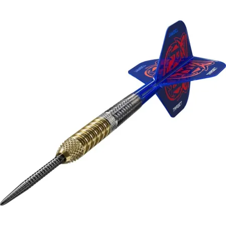 Target - darts Šipky Steel Raymond van Barneveld - G6 - Swiss Point - 21g